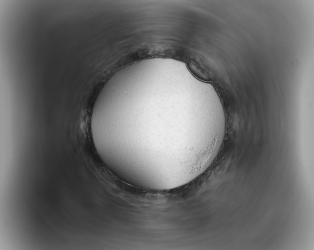 X0000093510914200711091718