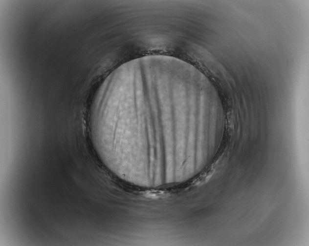 X0000093510916200711091718