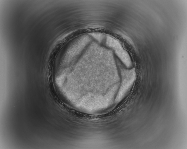 X0000093510920200711091718