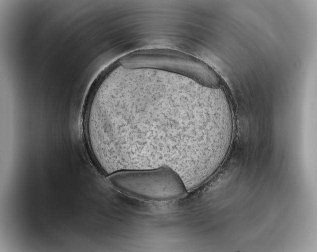 X0000093510928200711091718