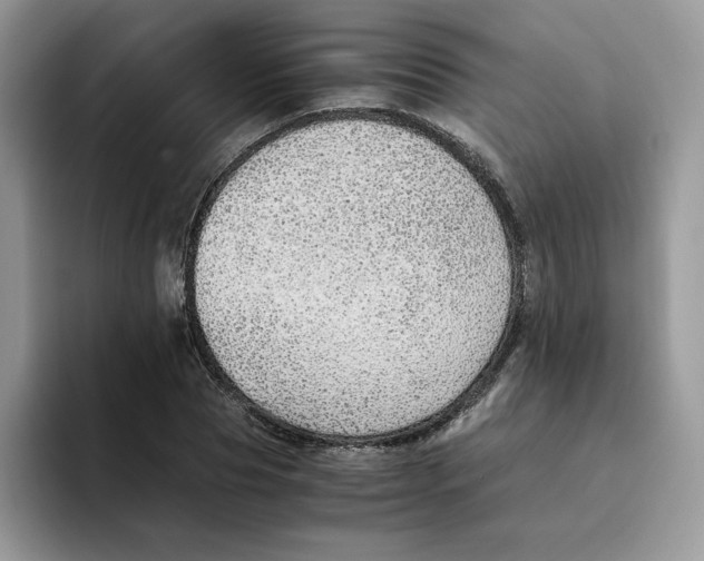 X0000093510929200711091718