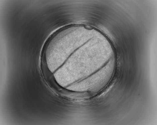 X0000093510932200711091718