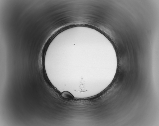 X0000093510934200711091718