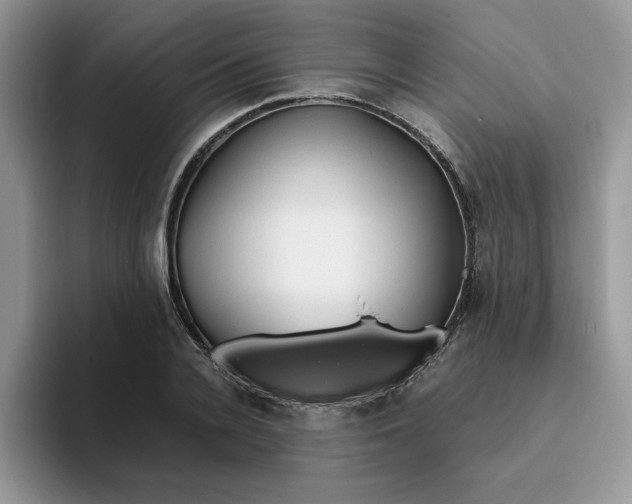 X0000093510936200711091718