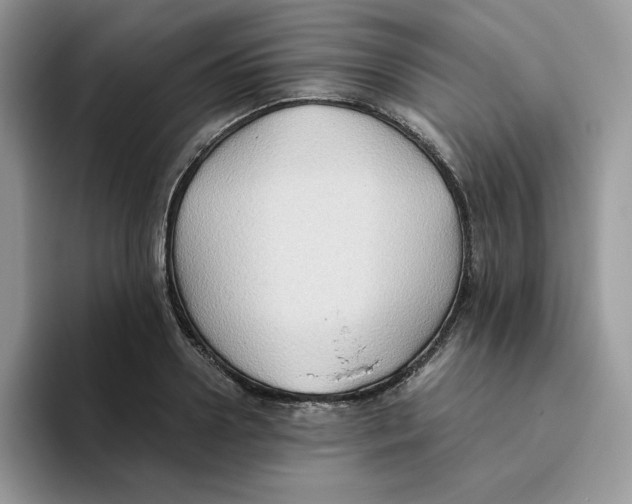 X0000093510938200711091718