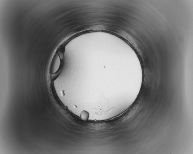 X0000093510939200711091718