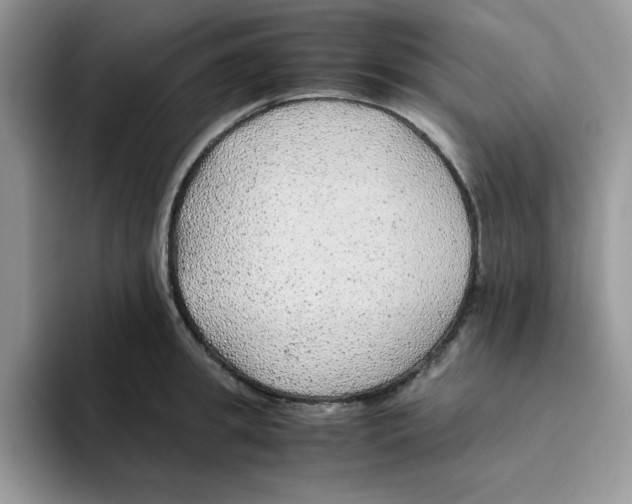 X0000093510949200711091718