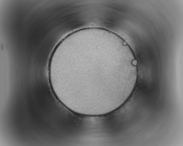 X0000093510950200711091718