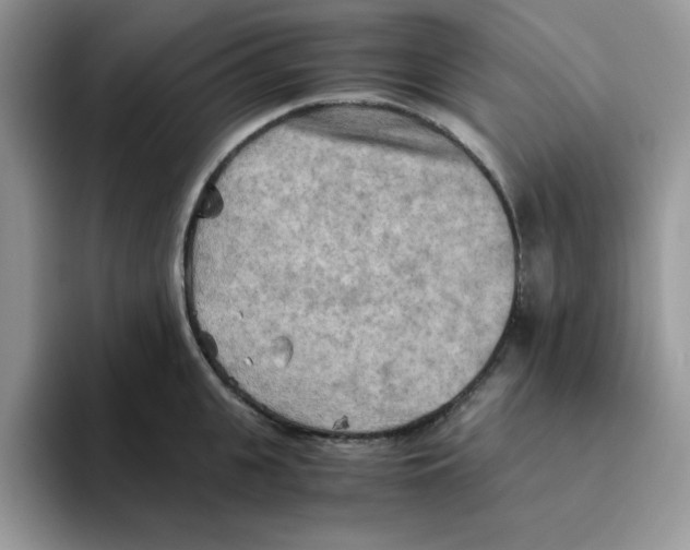 X0000093510951200711091718