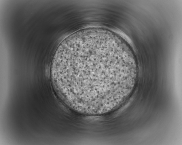 X0000093510953200711091718