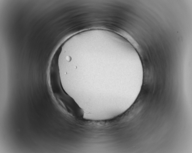 X0000093510955200711091719