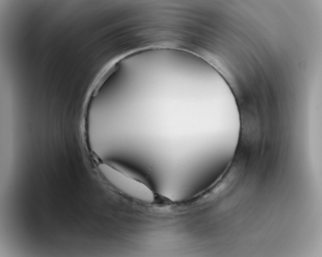 X0000093510956200711091719