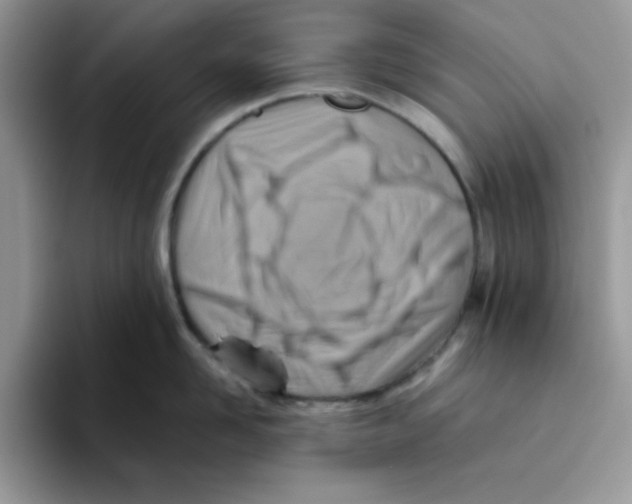 X0000093510958200711091719