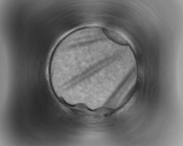 X0000093510959200711091719