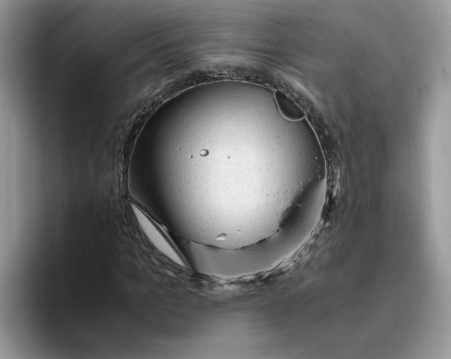 X0000093510965200711091718