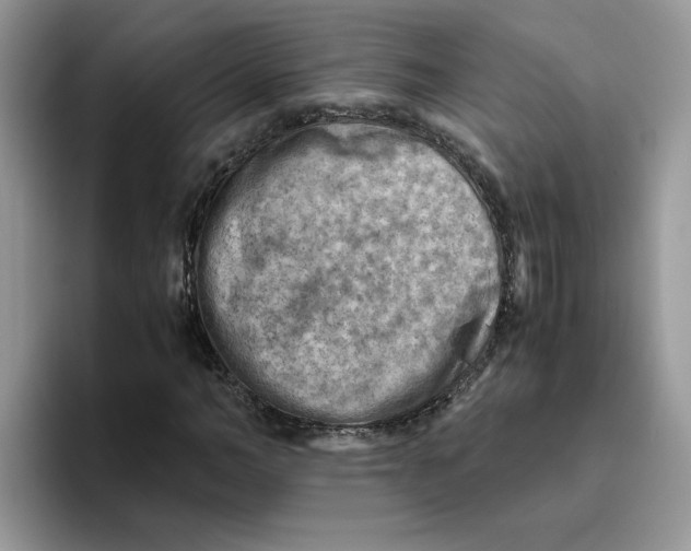 X0000093510966200711091718