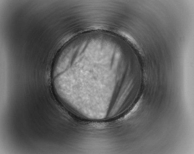 X0000093510977200711091718