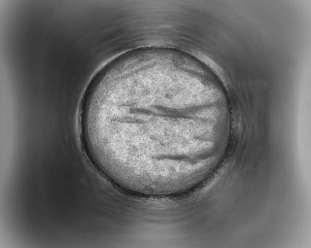 X0000093510983200711091718