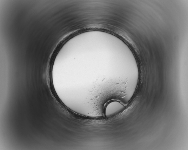 X0000093510984200711091718