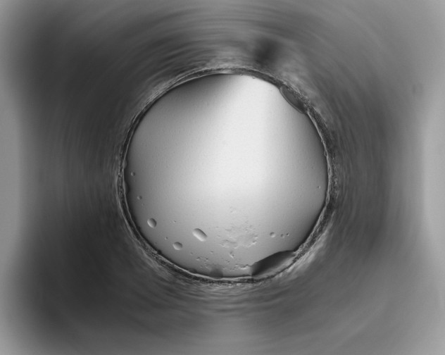 X0000093510985200711091718