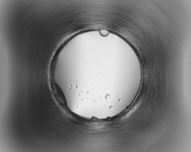 X0000093510989200711091718