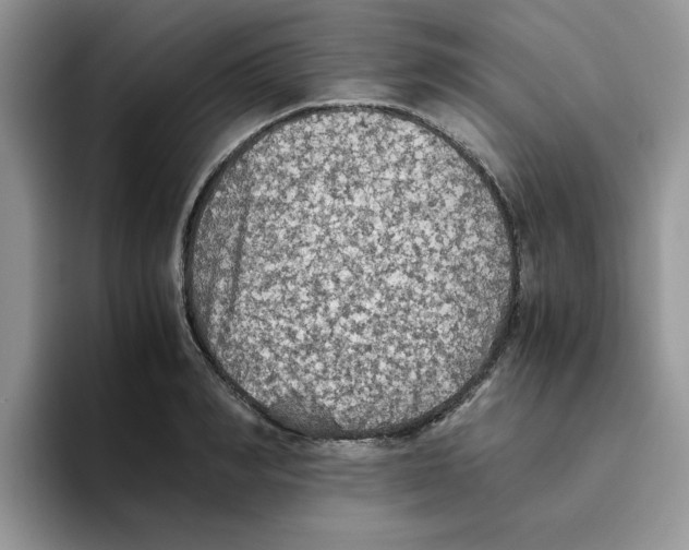 X0000093510990200711091718