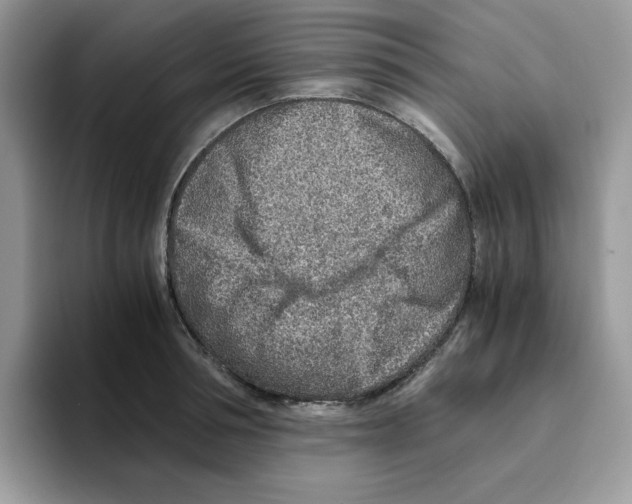 X0000093510994200711091718