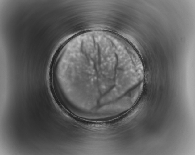 X0000093510995200711091718