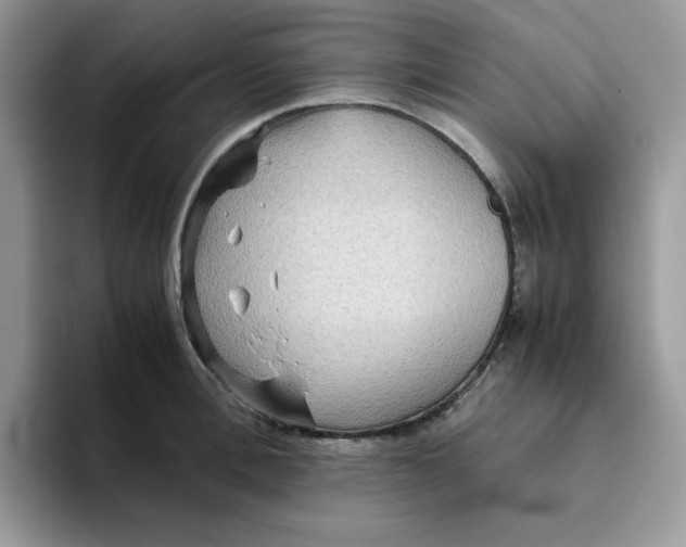 X0000093510996200711091718