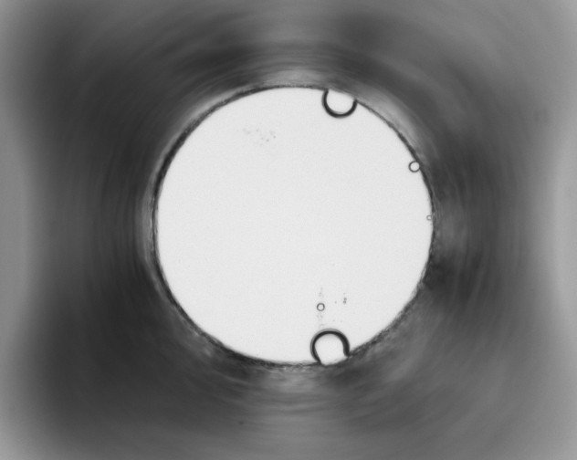 X0000093511000200711091718