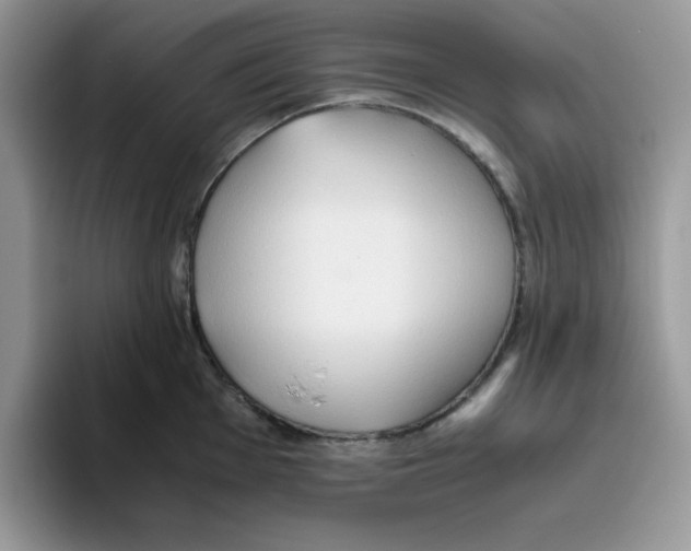 X0000093511001200711091718