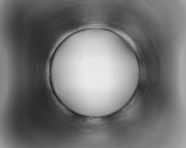 X0000093511006200711091717