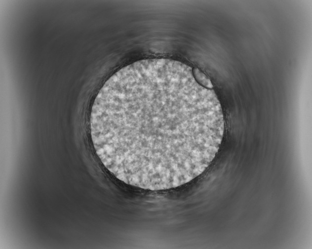 X0000093511009200711091717