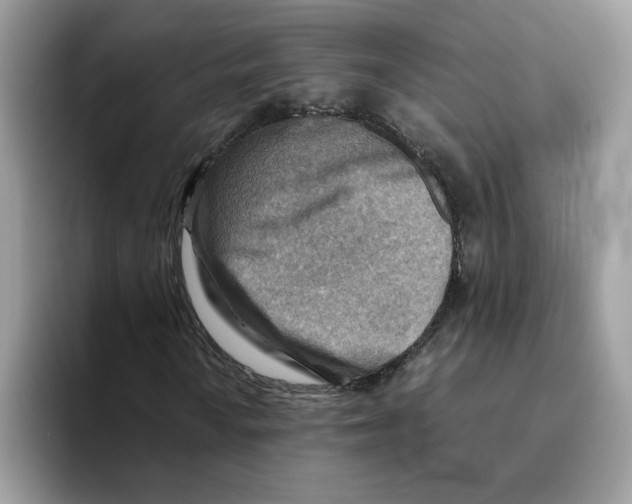 X0000093511010200711091717