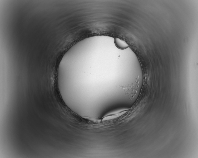 X0000093511012200711091717