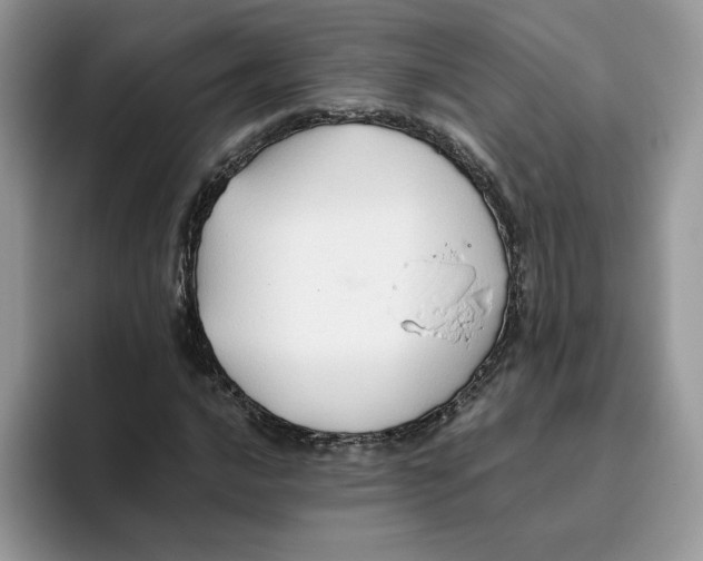 X0000093511016200711091717