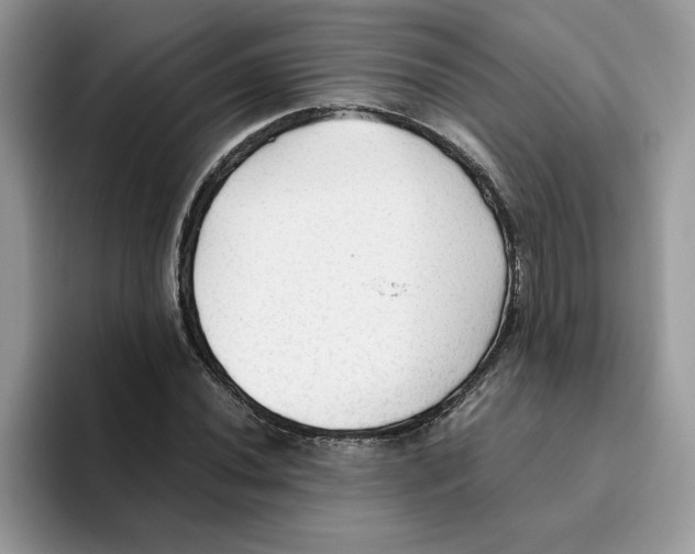 X0000093511020200711091717