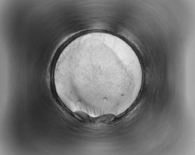 X0000093511024200711091717