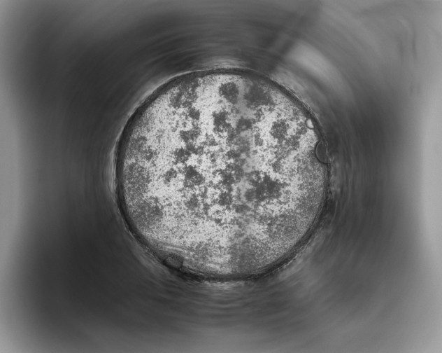 X0000093511031200711091717