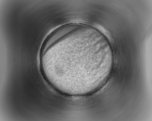 X0000093511032200711091717