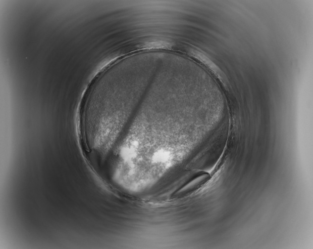 X0000093511034200711091717