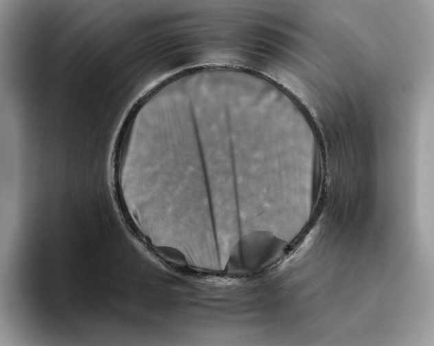 X0000093511037200711091717