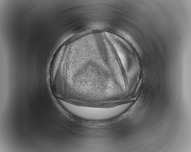 X0000093511042200711091717