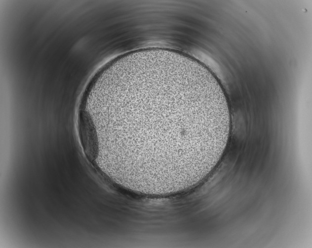 X0000093511043200711091717