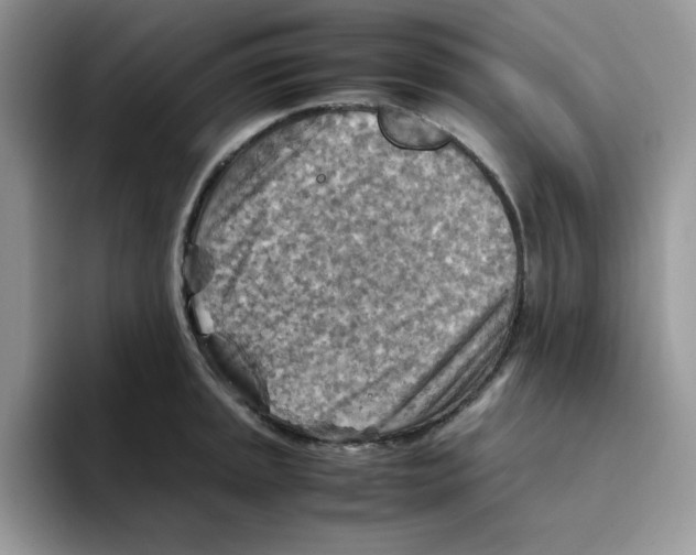 X0000093511045200711091717