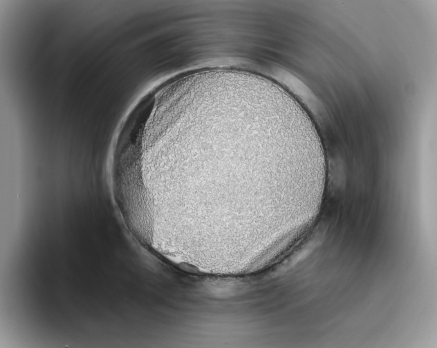 X0000093511046200711091717