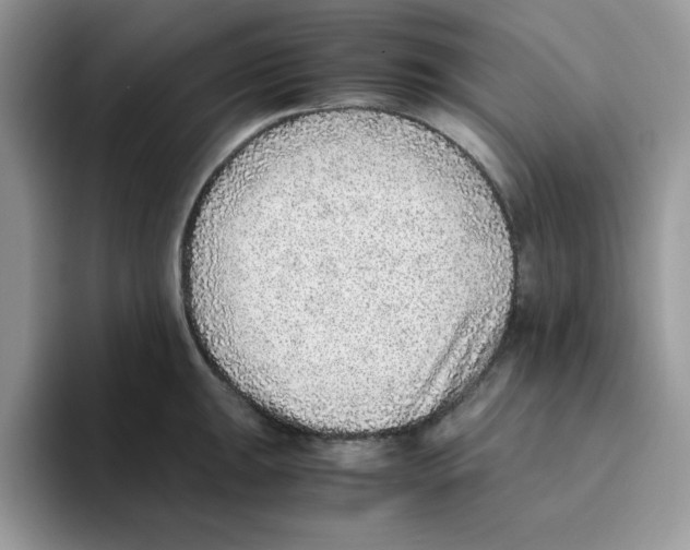 X0000093511047200711091717