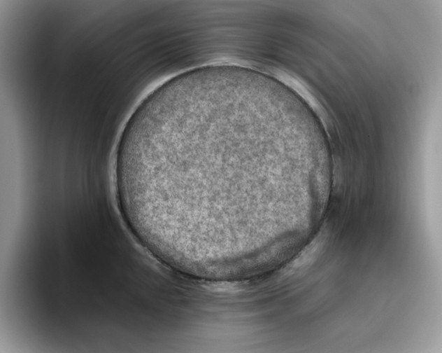 X0000093511048200711091717