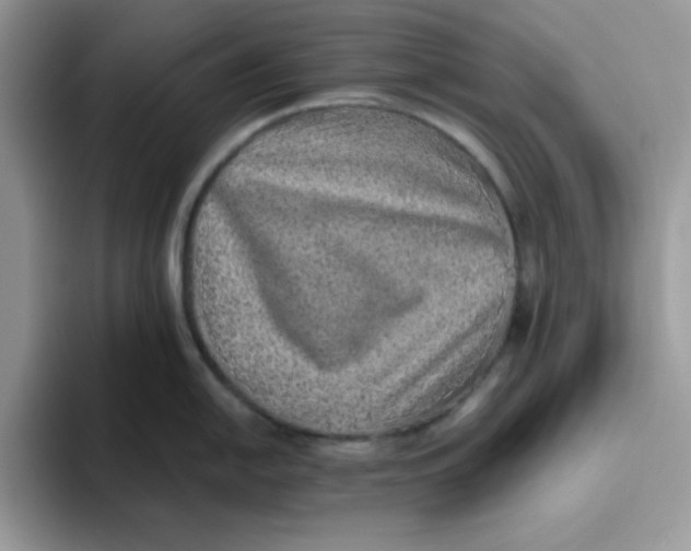 X0000093511054200711091717