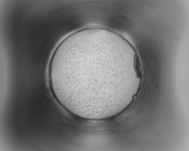 X0000093511056200711091717